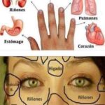 Tu Rostro y Mano: Señales de Salud a Través de la Reflexología