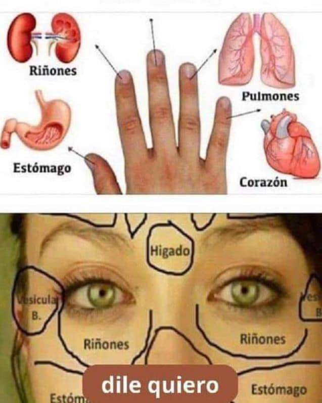Diagramas de Reflexología