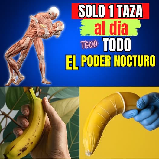 Ingredientes Naturales