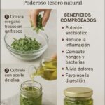 Cómo hacer aceite de orégano en casa: beneficios, usos y precauciones