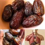 Los Poderosos Beneficios de los Dátiles: La Fruta que Transformará tu Salud