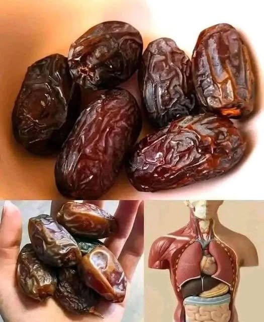 Dátiles frescos en una mano