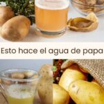 Agua y Jugo de Papa: Recetas, Beneficios y Usos Naturales