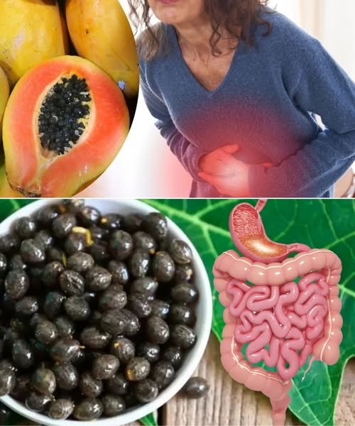 Papaya y Semillas de Papaya