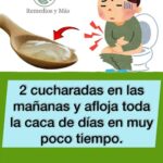 Alivio Natural del Estreñimiento: 2 Cucharadas de esta Mezcla Cada Mañana