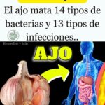 El Ajo: Un Poderoso Antibacteriano Natural para tu Salud
