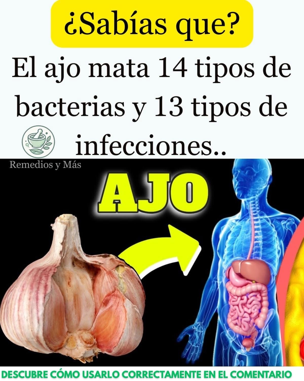 Beneficios del Ajo