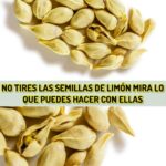 ¡No Deseches las Semillas de Limón! Descubre sus Beneficios y Usos