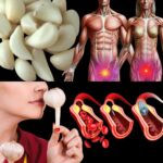 Por qué comer ajo crudo en ayunas puede ofrecer beneficios inesperados para la salud
