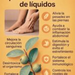 Té de Hojas de Guayaba: El Secreto Natural para una Vida Saludable