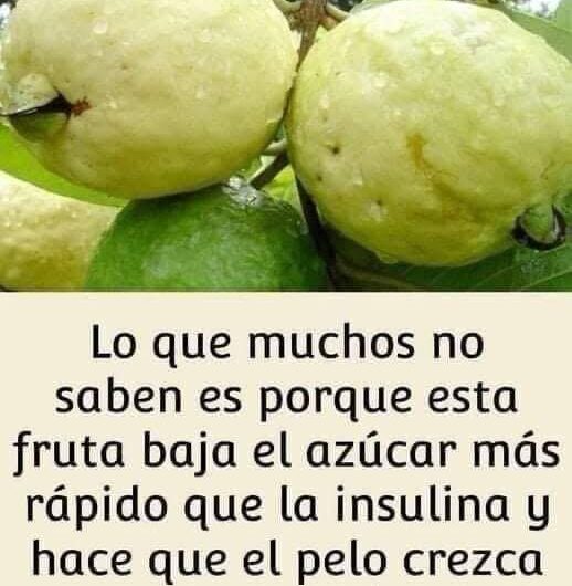 La Guayaba: Una Fruta Poderosa que Va Más Allá de su Sabor
