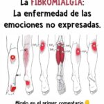 Té de Tomillo: Un Remedio Natural para el Vértigo, Artritis, Fatiga Crónica, Fibromialgia, Lupus y Problemas de Tiroides