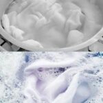 🧺 Este es el Truco para Conseguir Toallas Más Suaves, Blancos Más Blancos y Soluciones para Lavar Toda la Ropa