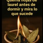 7 Cosas que Pasan si Quemas una Hoja de Laurel Cada Noche en Casa