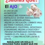 Ajo Milagroso: Elixir Casero para Blindar tu Cuerpo contra Bacterias, Infecciones y Mucho Más