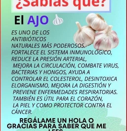 Ajo Milagroso: Elixir Casero para Blindar tu Cuerpo contra Bacterias, Infecciones y Mucho Más