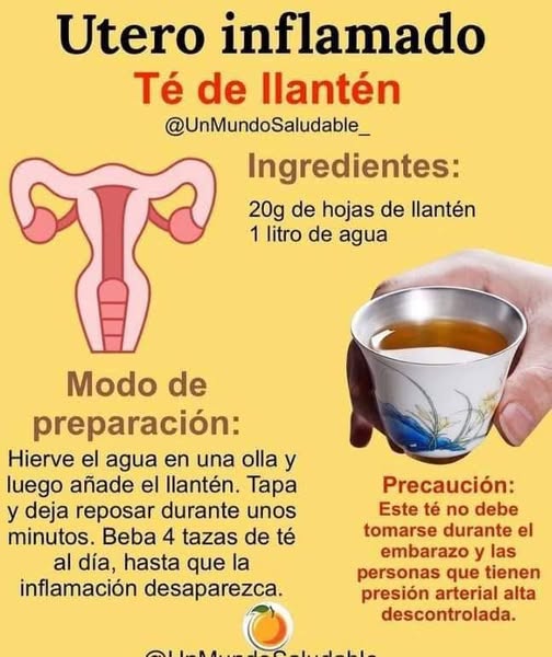 Té de Llantén para Aliviar un Útero Inflamado