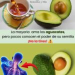 ¡No Tires la Semilla de Aguacate! Beneficios Inesperados para Tu Salud