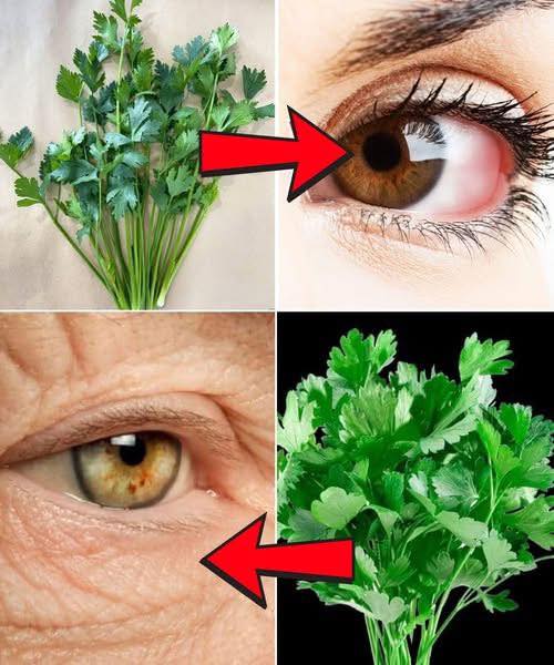 Perejil y salud ocular