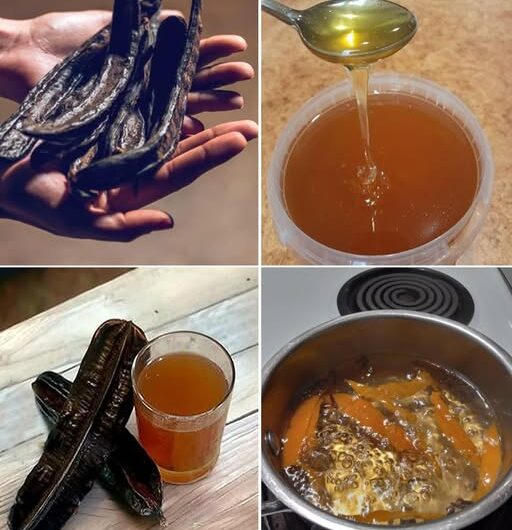 Algarrobo: Un Elixir Natural para Tu Salud y Bienestar