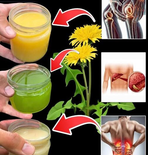 El Poder Oculto del Diente de León: Una Planta Maravillosa para la Salud