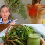 ¡Esta Planta es Más Sabrosa que la Carne! 7 Razones para Tener Verdolaga en tu Jardín