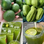 Chayote: El Remedio Natural para Dolores y Más