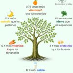 La Moringa: Un Poderoso Superalimento Rico en Nutrientes