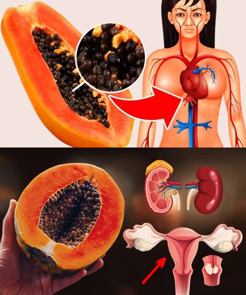 Beneficios de las semillas de papaya