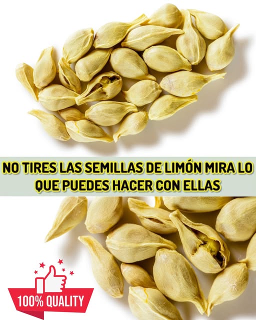 Semillas de limón en diferentes usos