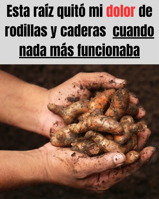 Raíz natural para aliviar el dolor