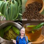 Té de Hojas de Mango con Clavo: La Infusión Natural que Necesitas
