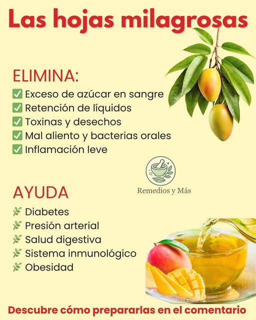 Hojas Milagrosas