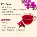 Redescubre el Poder del Té de Bugambilia: Un Remedio Natural para la Tos y Problemas Respiratorios