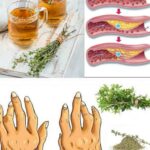 Combatir Enfermedades Comunes con el Poder del Tomillo: Circulación, Hígado Graso, Presión Arterial y Ansiedad