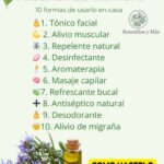 Beneficios y Usos del Alcohol de Romero en el Hogar