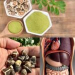 El Poder de las Semillas de Moringa: 25 Beneficios y Formas Prácticas de Usarlas en Casa