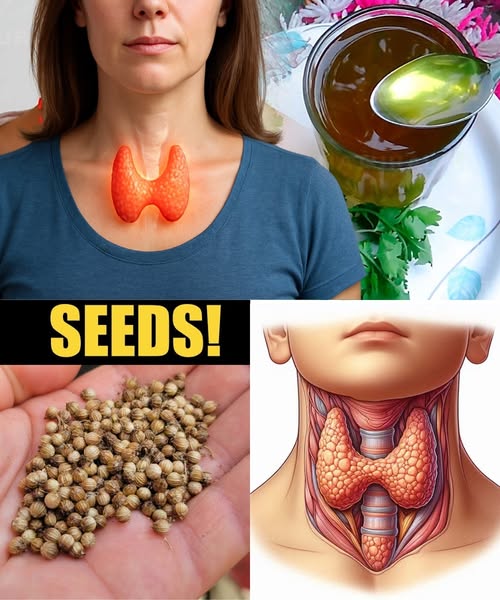 Remedios naturales para la salud de la tiroides