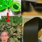 Transforma Tu Cabello: De Blanco a Negro y Larga Melena con Hojas de Papaya