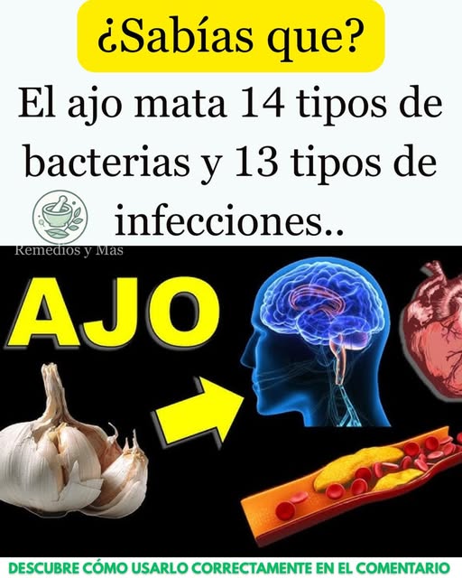 Beneficios del ajo sobre la salud