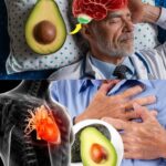 Aguacate Después de los 50: Beneficios Asombrosos Tras 7 Días de Consumo