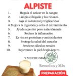 Alpiste: Beneficios y Recetas que Transforman Tu Salud