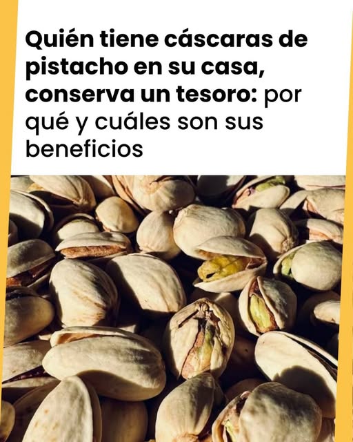 Cáscaras de Pistacho