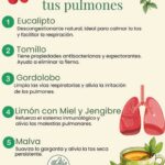 Tés Naturales para Cuidar tus Pulmones
