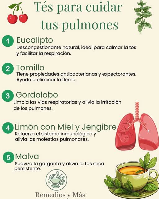 Tés para cuidar tus pulmones