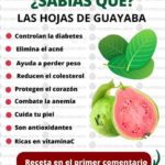 Descubre los Increíbles Beneficios del Té de Hojas de Guayaba para tu Salud