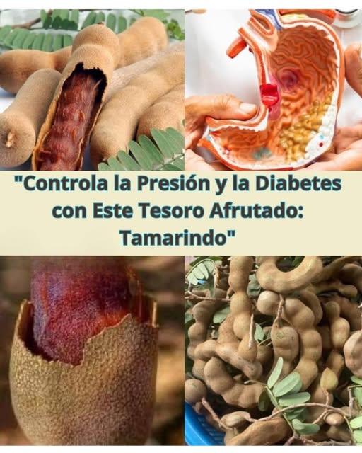 Tamarindo y sus beneficios para la salud