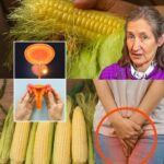 Adiós al Estrés y la Fatiga: Beneficios de un Remedio Natural