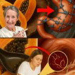 Las Semillas de Papaya: Un Tesoro para la Salud Digestiva