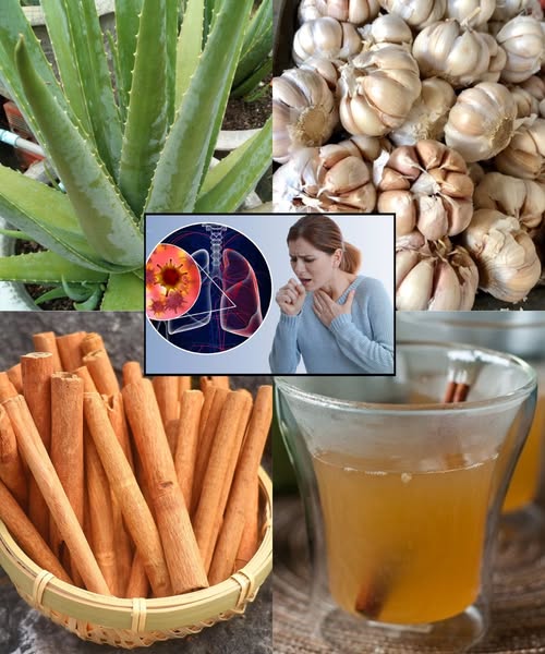 Remedio Natural con Aloe Vera, Ajo y Canela